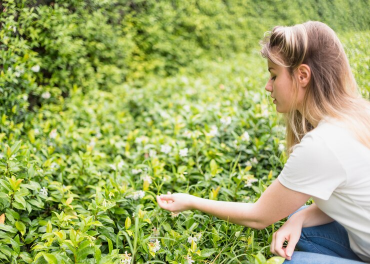 Finca agrícola regenerativa en el valle del río Gaià